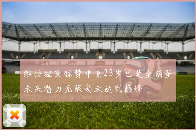 维拉纽瓦称赞申京23岁已是全明星未来潜力无限尚未达到巅峰