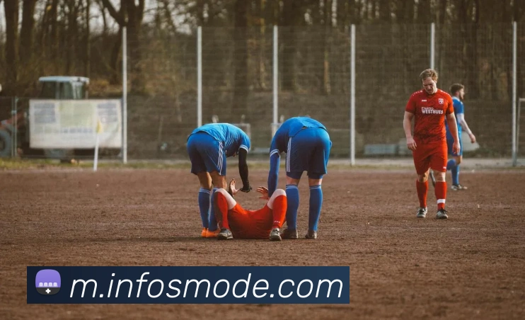 宝威体育平台生态图